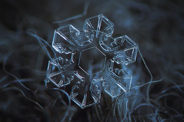 Macro Snowflakes | Winter Wonderland - Alexey Kljatov amazing snowflack photos