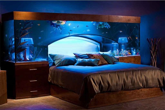 Aquarium Bed | Fun Interior Design Ideas