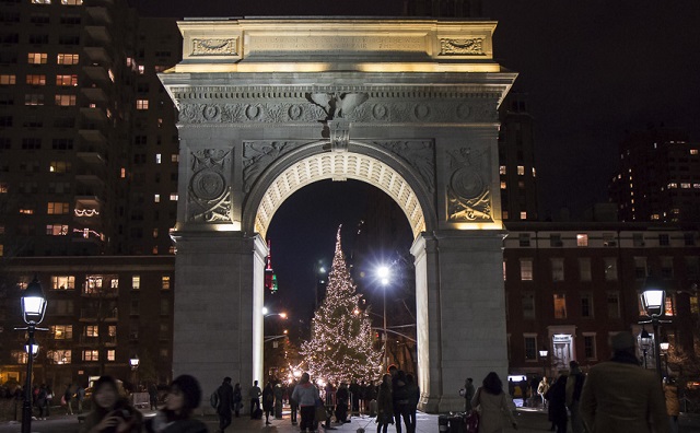 Best Christmas Trees in New York city