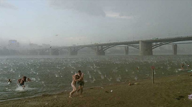 Nikita Dudnik. Sudden hail storm in Novosibirsk Russia. | TIME's 10 most influentual photos of 2014
