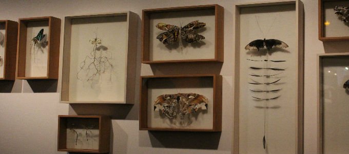 my-design-week-maison-et-objet-inspirations-forum-françois-bernard-1